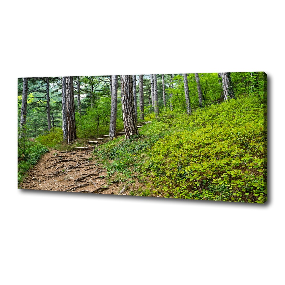 Canvas wall art Forest track