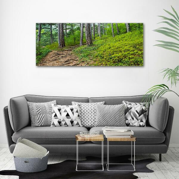 Canvas wall art Forest track