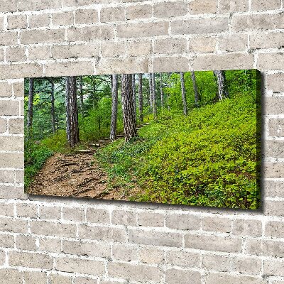 Canvas wall art Forest track