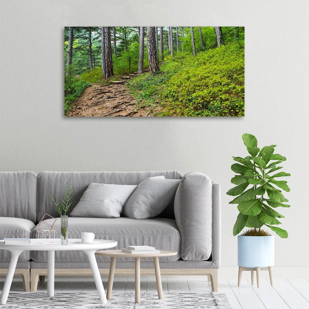 Canvas wall art Forest track