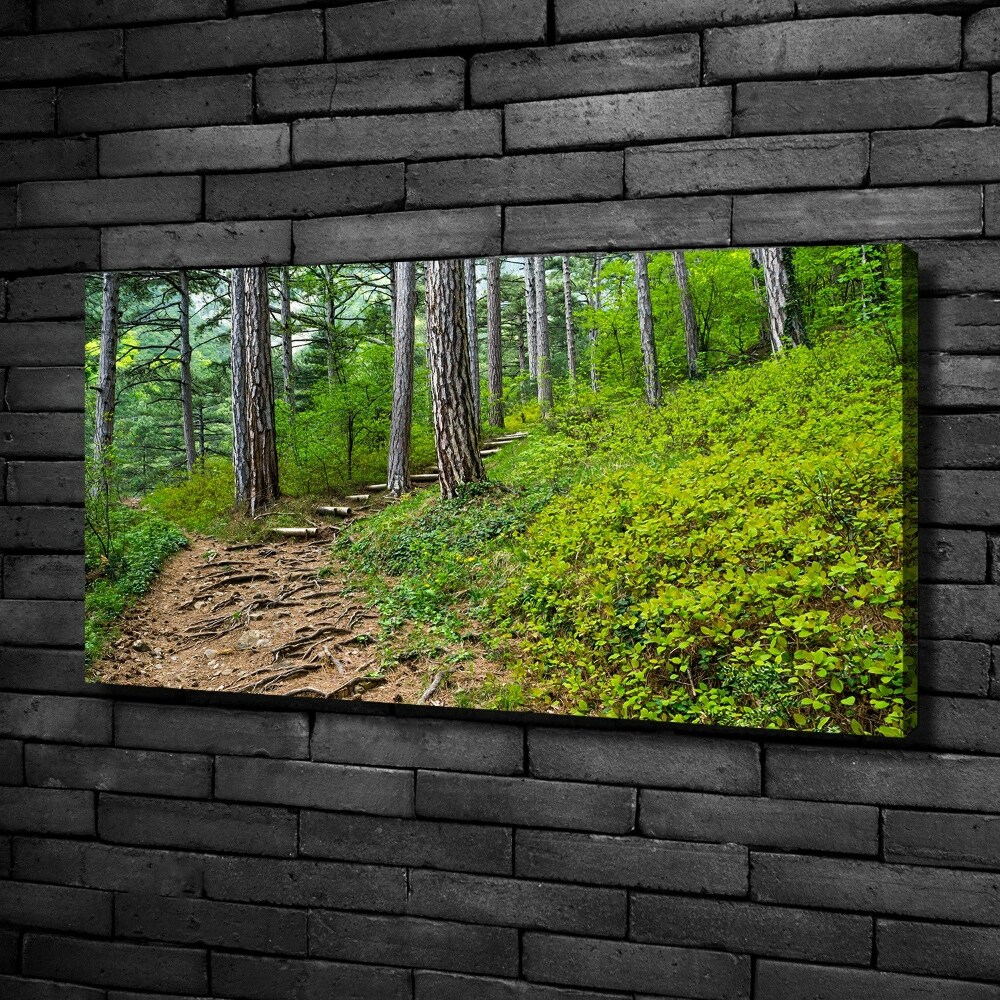 Canvas wall art Forest track