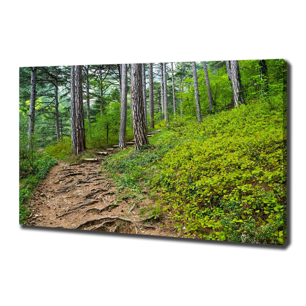 Canvas wall art Forest track