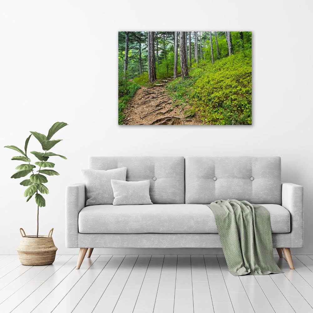 Canvas wall art Forest track