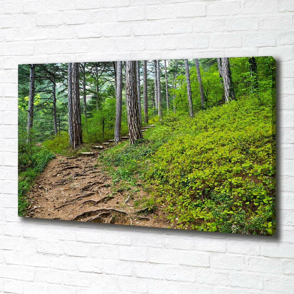 Canvas wall art Forest track