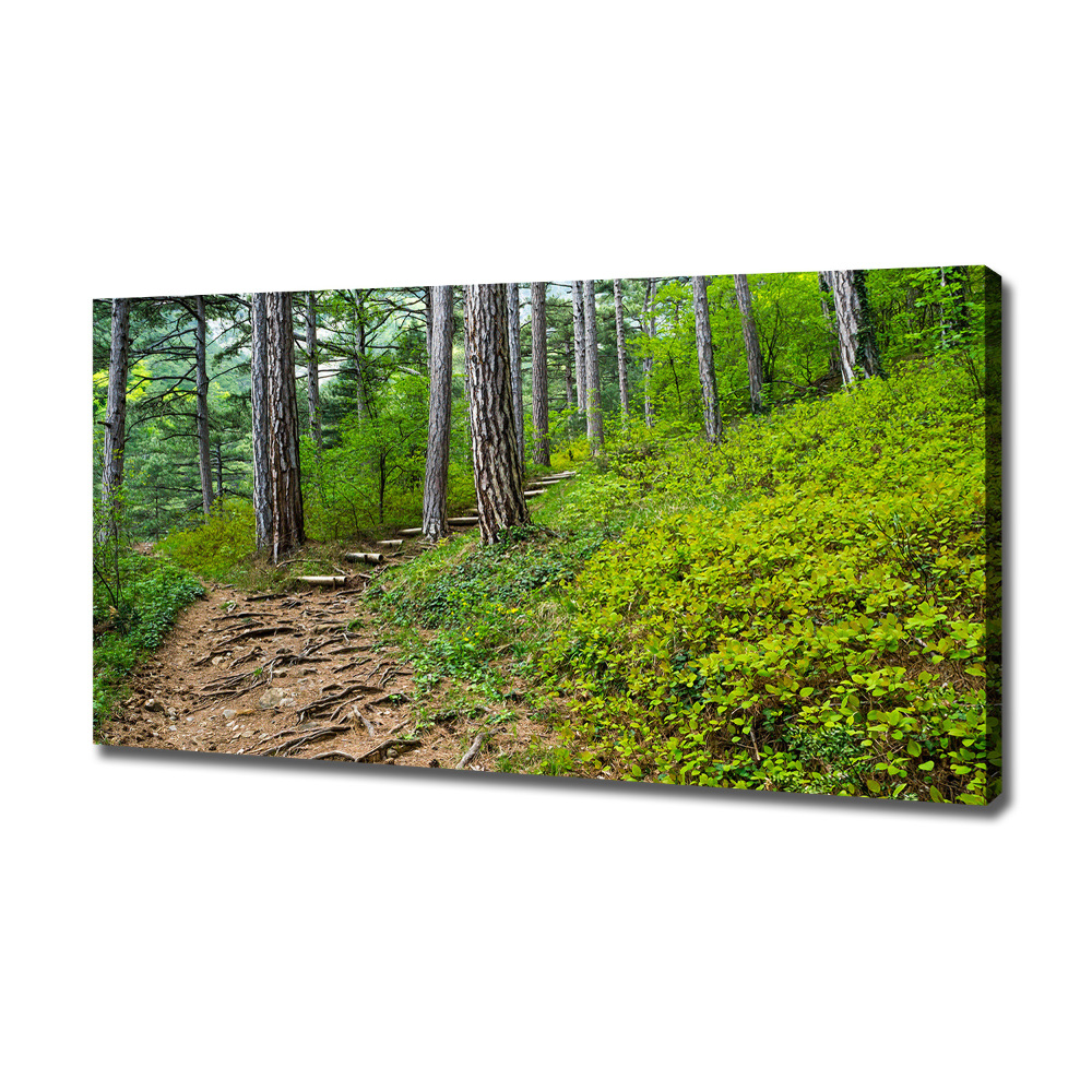 Canvas wall art Forest track