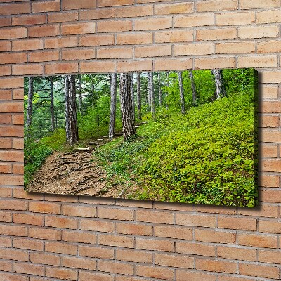 Canvas wall art Forest track