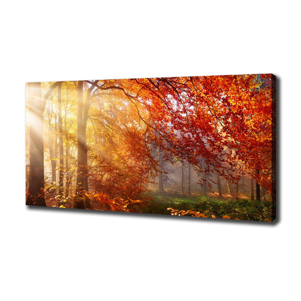 Canvas wall art Autumn forest