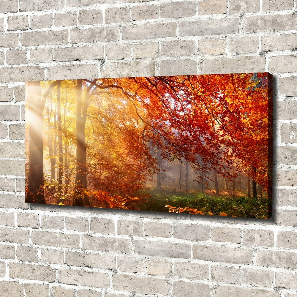 Canvas wall art Autumn forest