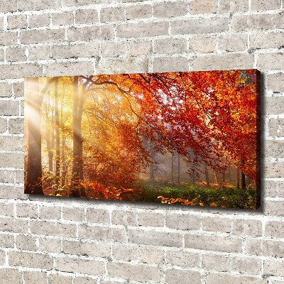 Canvas wall art Autumn forest