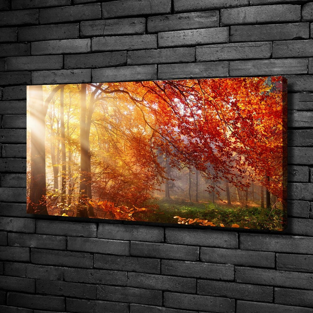 Canvas wall art Autumn forest