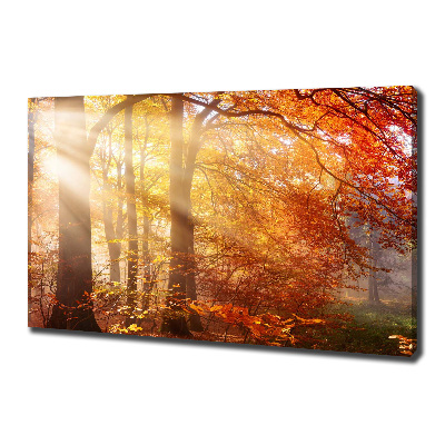 Canvas wall art Autumn forest