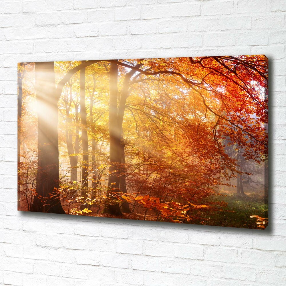 Canvas wall art Autumn forest