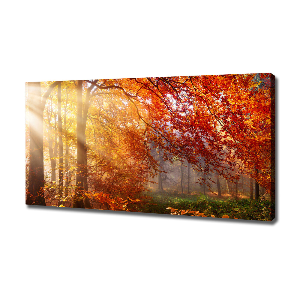 Canvas wall art Autumn forest