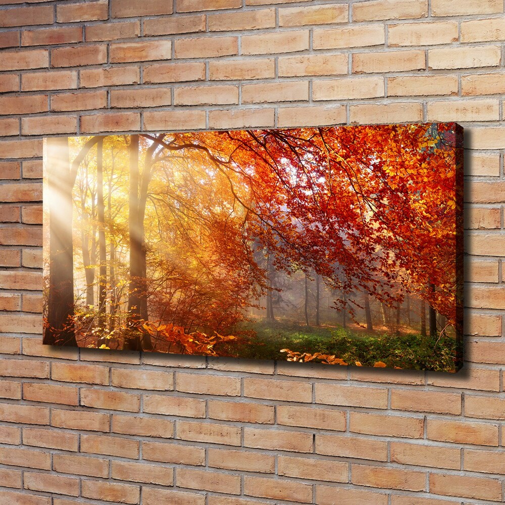 Canvas wall art Autumn forest