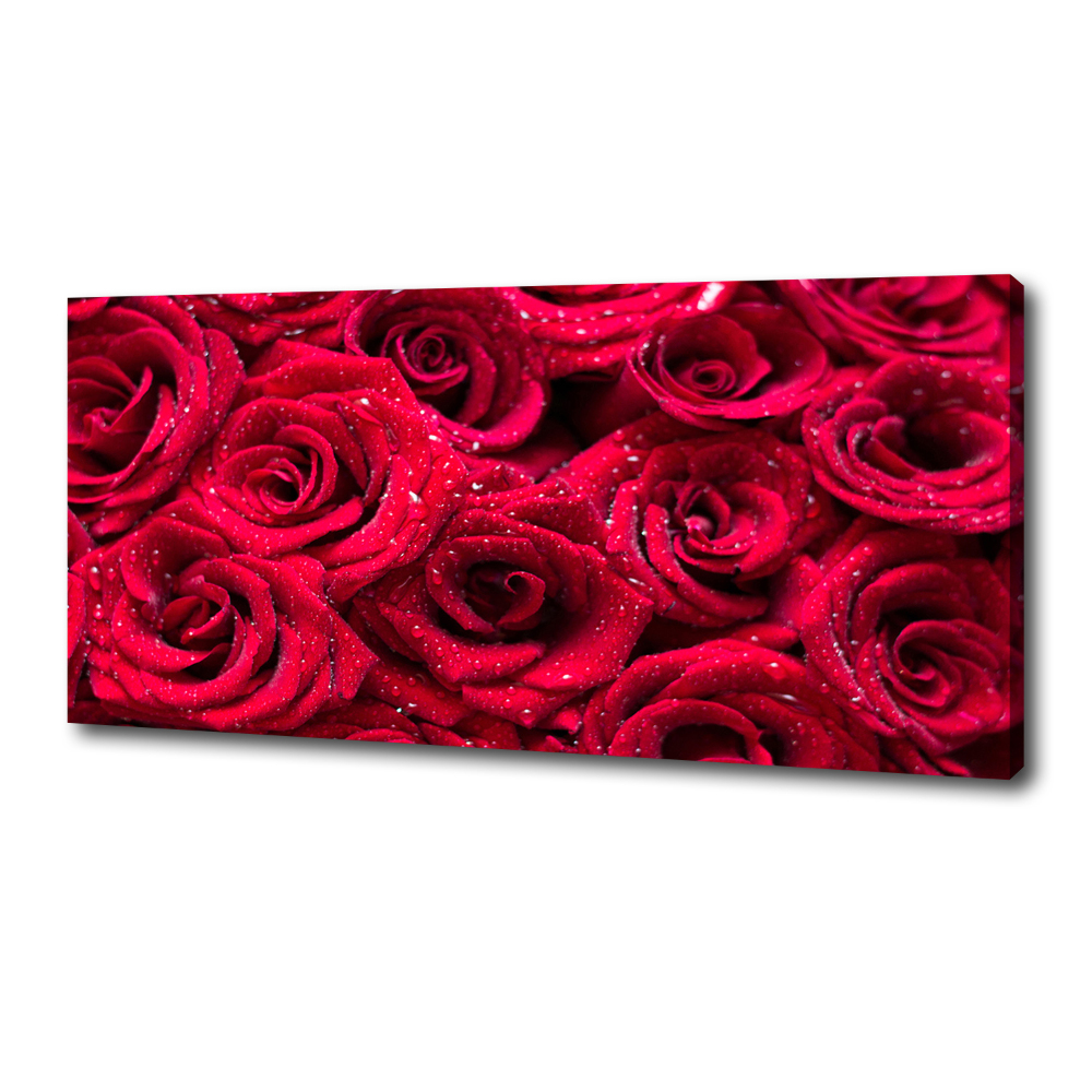 Canvas wall art Drops on roses