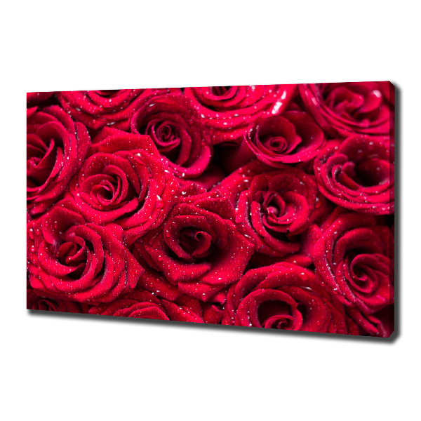 Canvas wall art Drops on roses