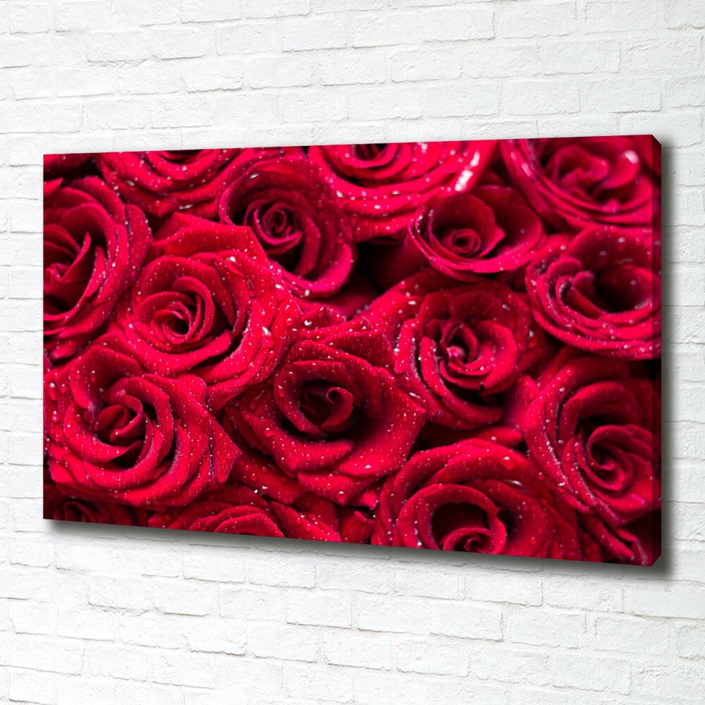 Canvas wall art Drops on roses