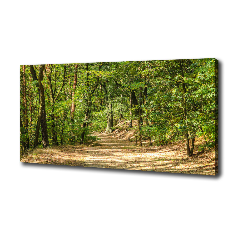 Canvas wall art Forest track