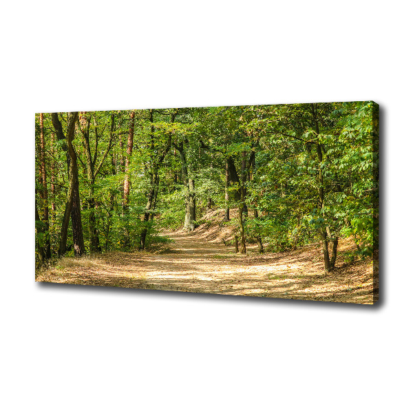 Canvas wall art Forest track