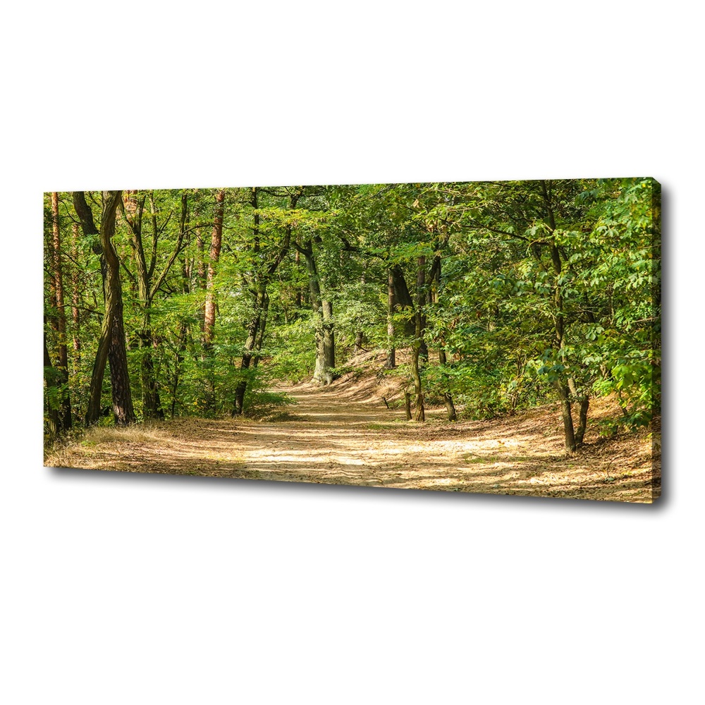 Canvas wall art Forest track