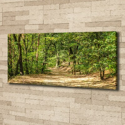 Canvas wall art Forest track