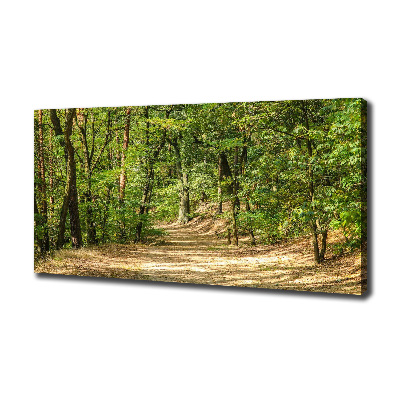 Canvas wall art Forest track