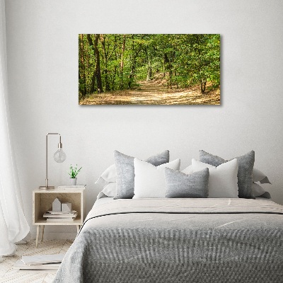 Canvas wall art Forest track