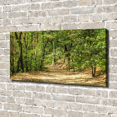 Canvas wall art Forest track