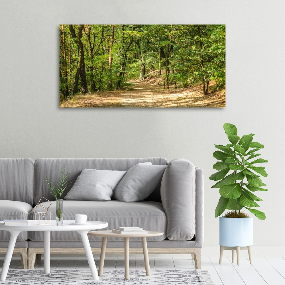 Canvas wall art Forest track