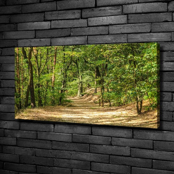 Canvas wall art Forest track