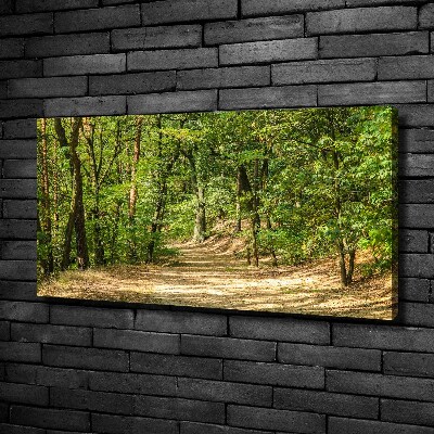 Canvas wall art Forest track