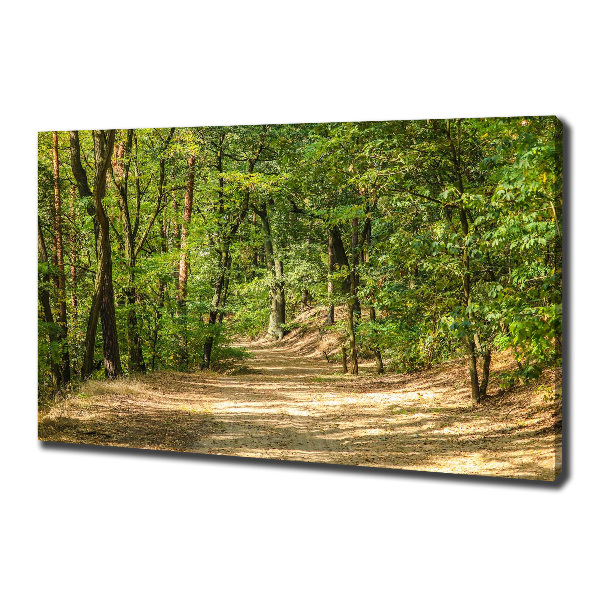 Canvas wall art Forest track