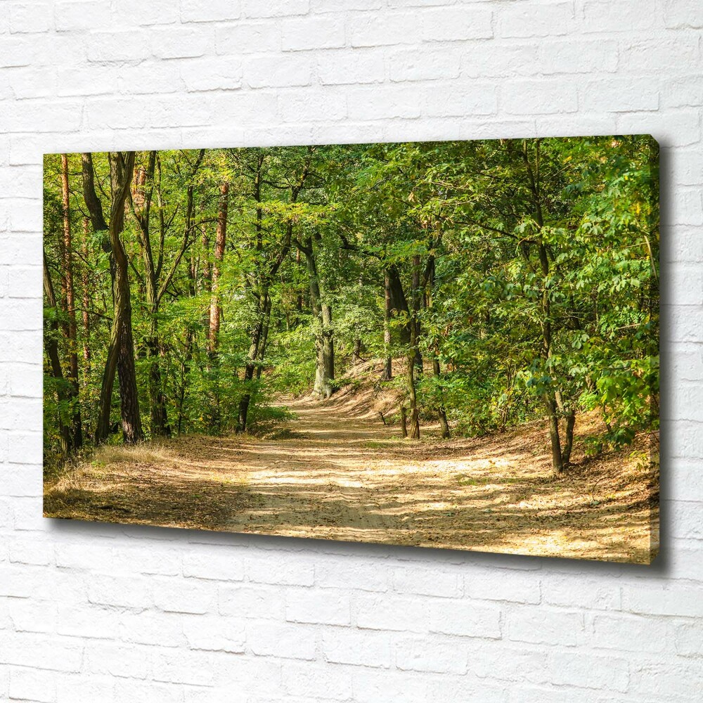 Canvas wall art Forest track