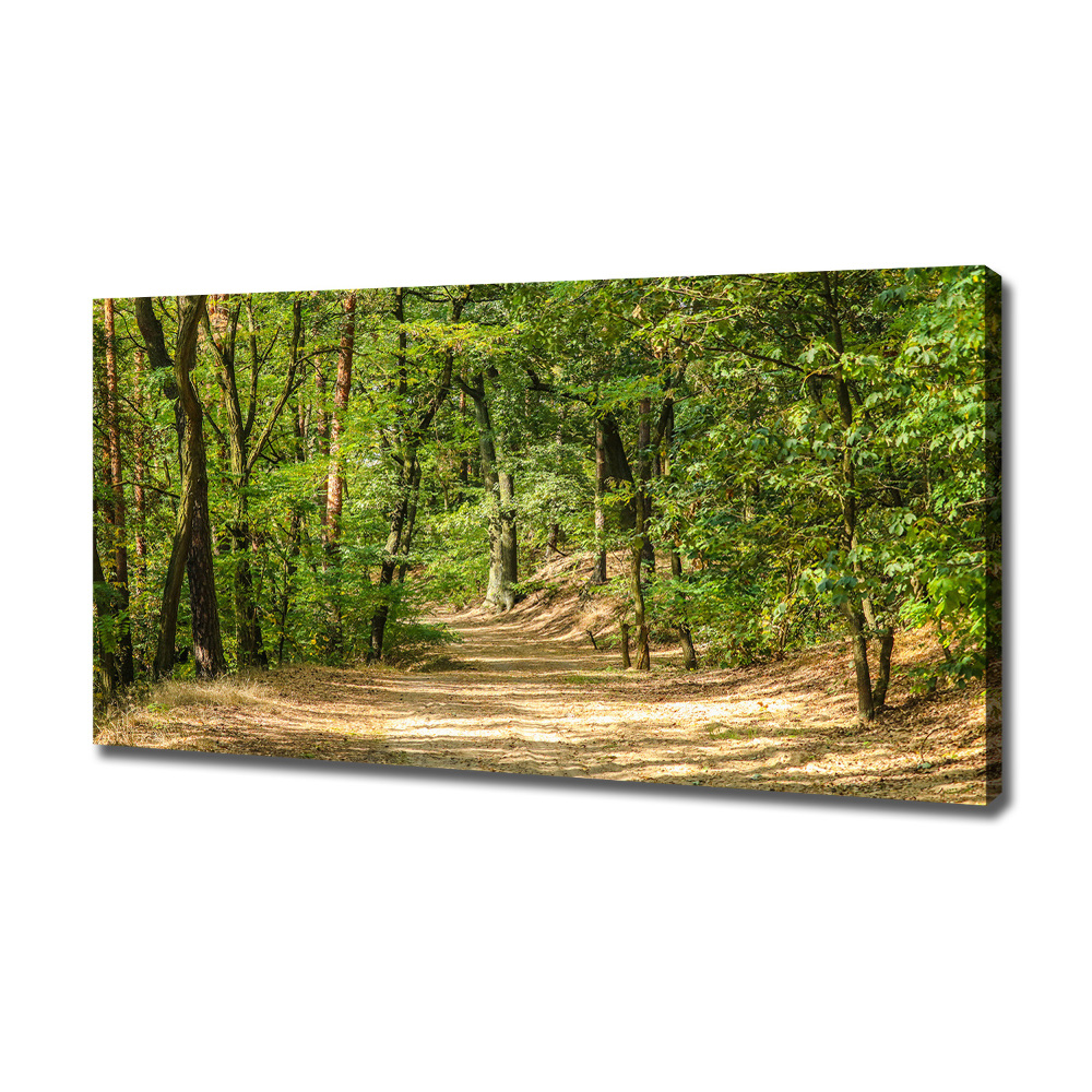 Canvas wall art Forest track