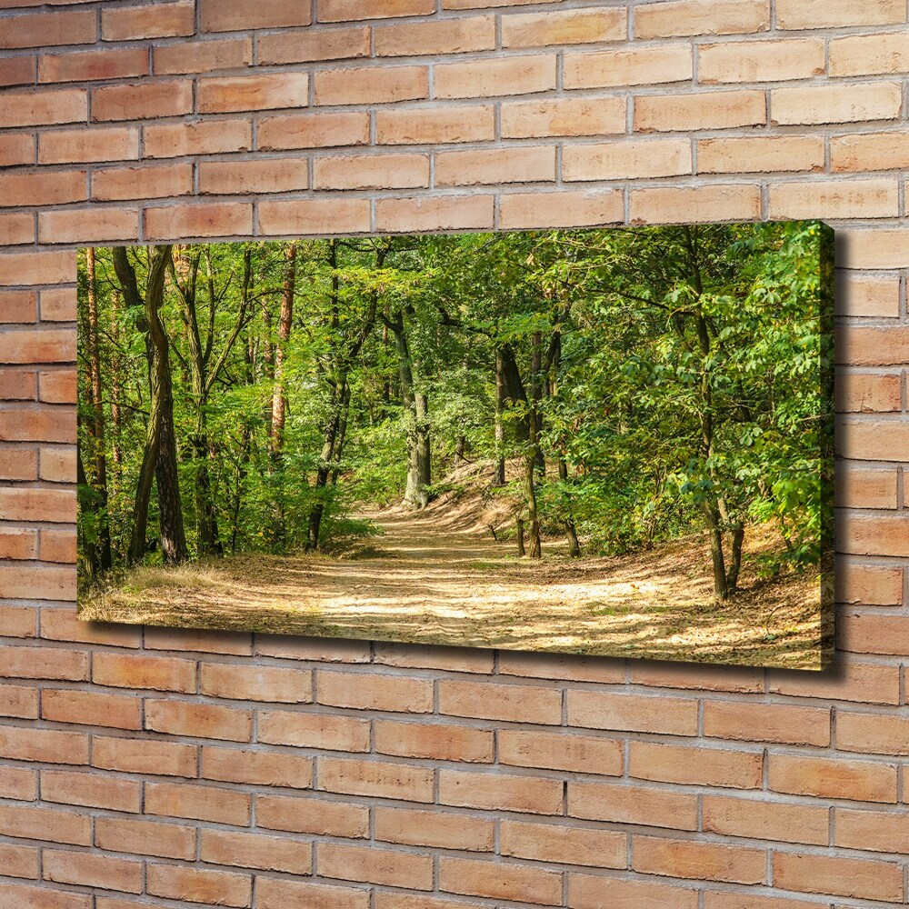 Canvas wall art Forest track