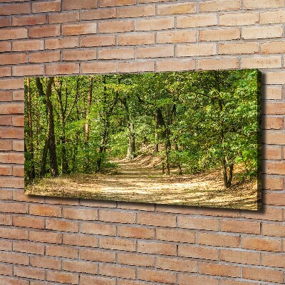 Canvas wall art Forest track