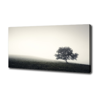 Canvas wall art Lone Tree