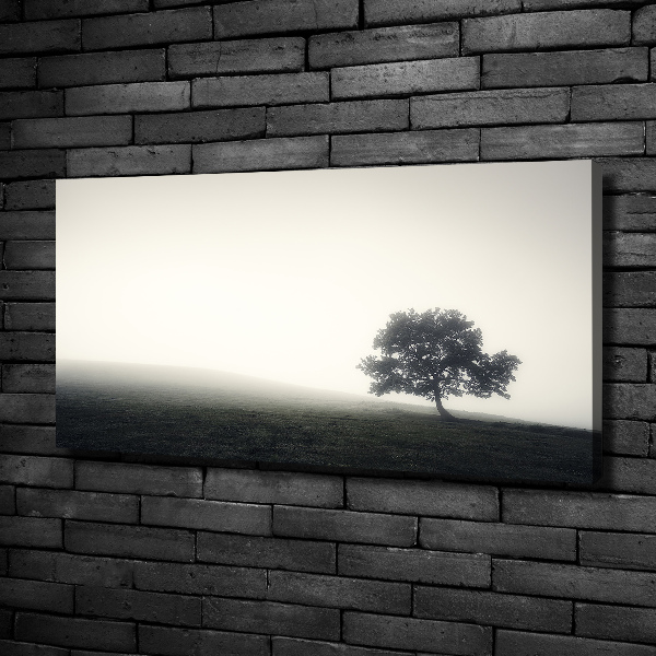 Canvas wall art Lone Tree