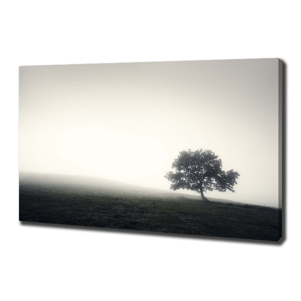 Canvas wall art Lone Tree