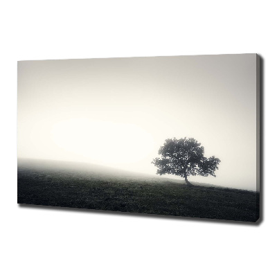 Canvas wall art Lone Tree