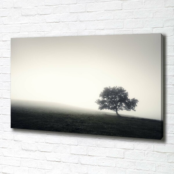 Canvas wall art Lone Tree