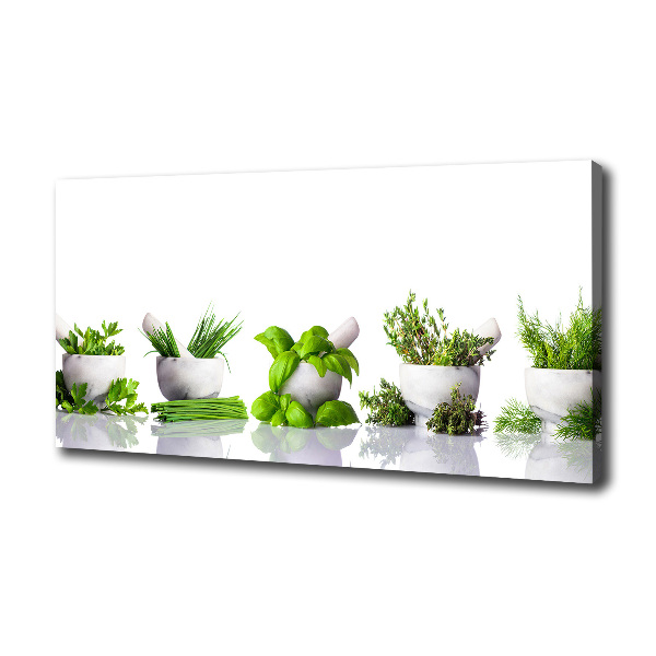 Canvas wall art Herbs