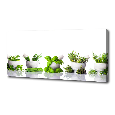 Canvas wall art Herbs