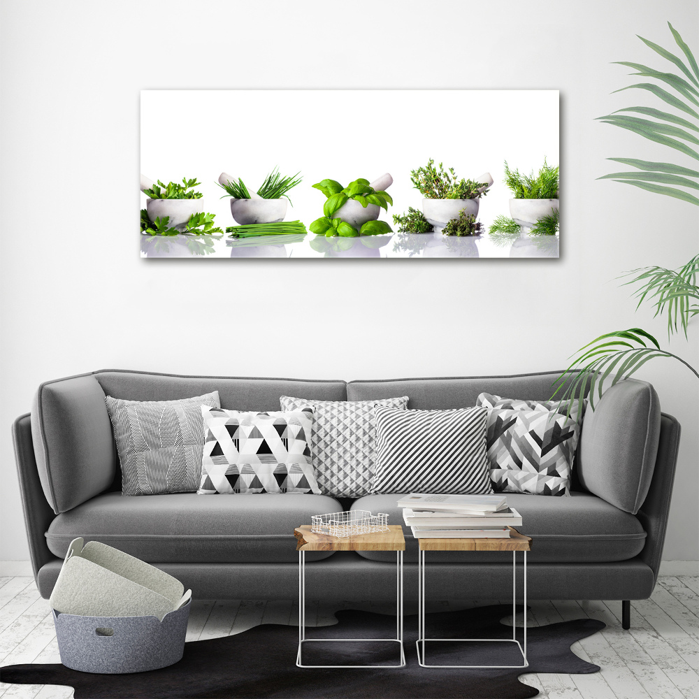 Canvas wall art Herbs