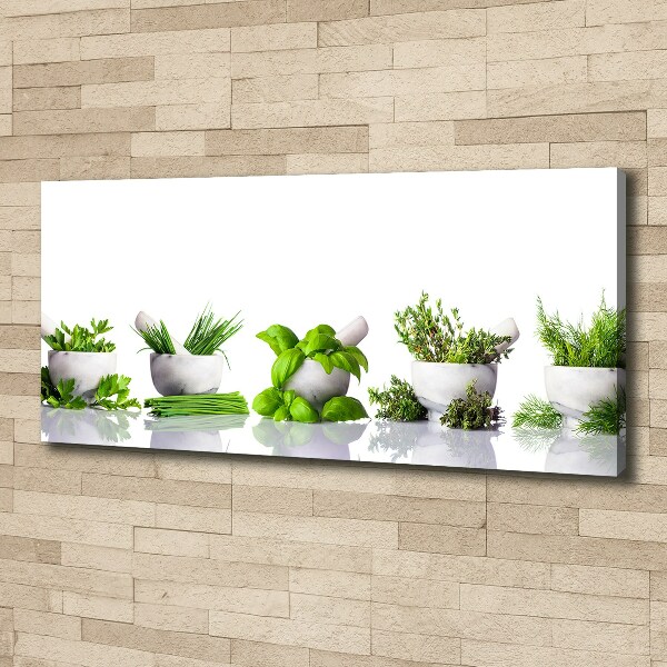 Canvas wall art Herbs