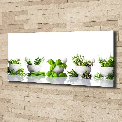 Canvas wall art Herbs