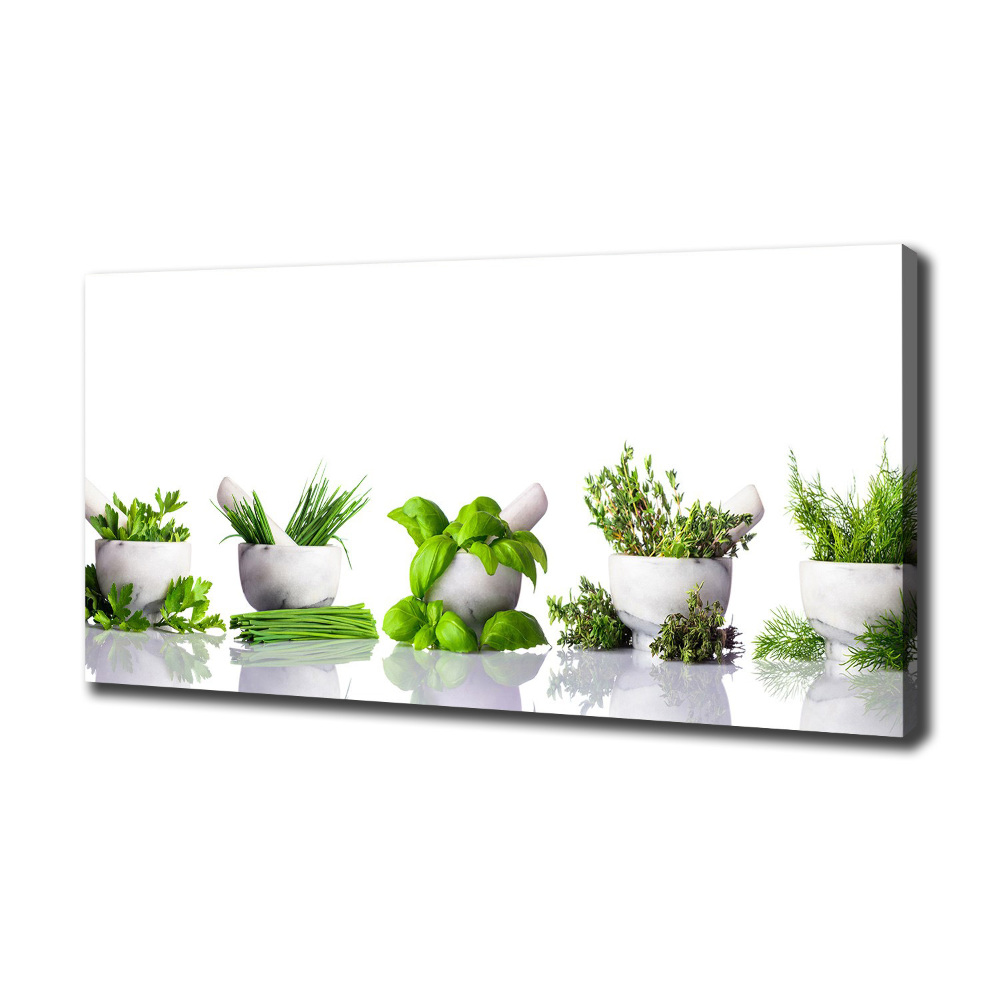 Canvas wall art Herbs