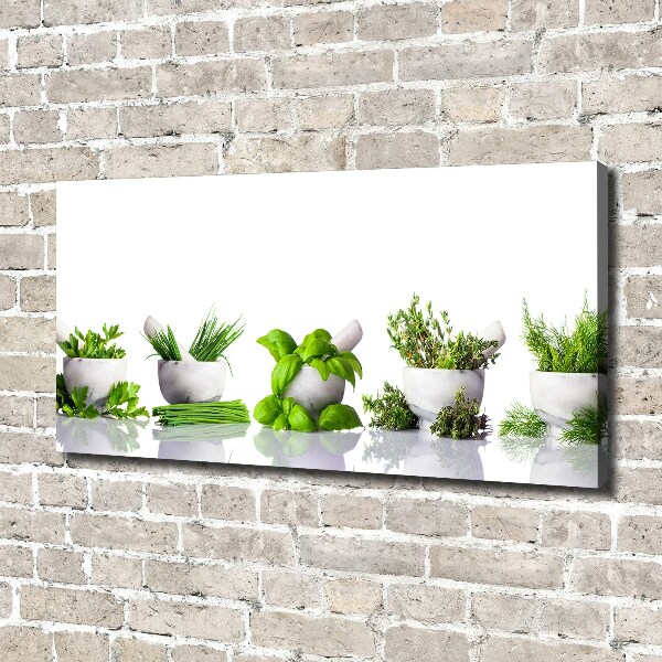 Canvas wall art Herbs