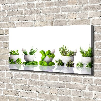 Canvas wall art Herbs