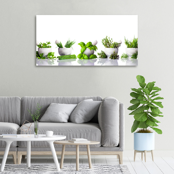 Canvas wall art Herbs